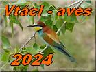 vtaci 2024